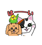 動く♪なごむ♪くーにゃんの湘南Days（個別スタンプ：6）