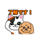 動く♪なごむ♪くーにゃんの湘南Days（個別スタンプ：9）