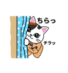 動く♪なごむ♪くーにゃんの湘南Days（個別スタンプ：10）