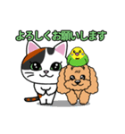 動く♪なごむ♪くーにゃんの湘南Days（個別スタンプ：14）