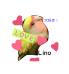 ラブバード インコ 文鳥（個別スタンプ：3）