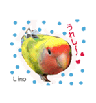 ラブバード インコ 文鳥（個別スタンプ：9）