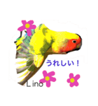 ラブバード インコ 文鳥（個別スタンプ：13）