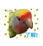 ラブバード インコ 文鳥（個別スタンプ：15）