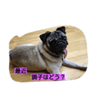 Buddyからの一言（個別スタンプ：1）