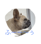 I am Leon of French bulldog（個別スタンプ：6）