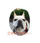 I am Leon of French bulldog（個別スタンプ：8）