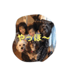 山田ファミリーです（個別スタンプ：7）