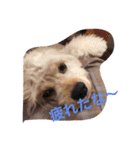 山田ファミリーです（個別スタンプ：9）