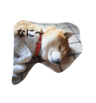 chachamaru_me（個別スタンプ：2）