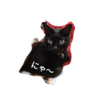 chachamaru_me（個別スタンプ：4）