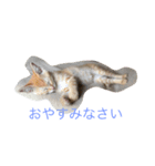 茶々ちゃまの日常（個別スタンプ：7）