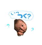 ひか2017（個別スタンプ：4）
