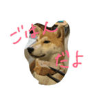 kikuchandesse（個別スタンプ：4）