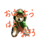 kikuchandesse（個別スタンプ：5）