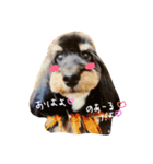 マルックスのくあとのあ（個別スタンプ：1）