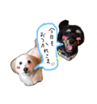マルックスのくあとのあ（個別スタンプ：3）