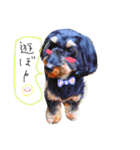 マルックスのくあとのあ（個別スタンプ：7）