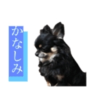 可愛いれくちゃんスタンプ（個別スタンプ：4）