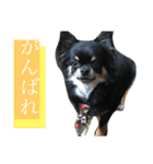 可愛いれくちゃんスタンプ（個別スタンプ：7）
