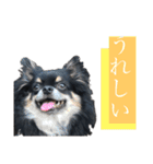 可愛いれくちゃんスタンプ（個別スタンプ：10）
