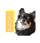 可愛いれくちゃんスタンプ（個別スタンプ：14）