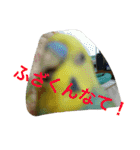 インコの仲間達Z（個別スタンプ：8）