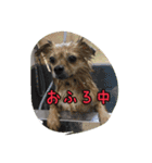 十字架の気分♪ 5（個別スタンプ：3）