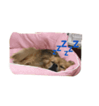 十字架の気分♪ 5（個別スタンプ：5）