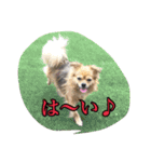 十字架の気分♪ 5（個別スタンプ：8）