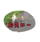 十字架の気分♪ 5（個別スタンプ：9）