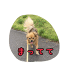 十字架の気分♪ 5（個別スタンプ：10）