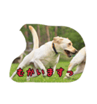 十字架の気分♪ 5（個別スタンプ：11）