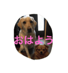 十字架の気分♪ 5（個別スタンプ：13）