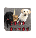 十字架の気分♪ 5（個別スタンプ：14）