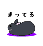 うさぎのみょんみょん（個別スタンプ：7）