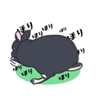 うさぎのみょんみょん（個別スタンプ：10）