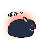うさぎのみょんみょん（個別スタンプ：12）