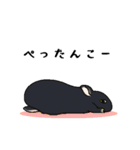 うさぎのみょんみょん（個別スタンプ：14）