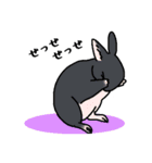 うさぎのみょんみょん（個別スタンプ：15）