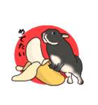 うさぎのみょんみょん（個別スタンプ：18）