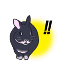 うさぎのみょんみょん（個別スタンプ：22）