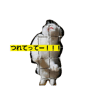 fuku of rabbit2（個別スタンプ：8）