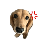 milchan2（個別スタンプ：1）
