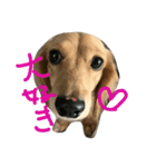 milchan2（個別スタンプ：2）