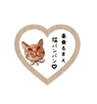 ネコのあずきさん☆（個別スタンプ：40）