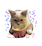 ほっこりラグちゃん（個別スタンプ：11）