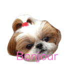 bonjour paris（個別スタンプ：1）