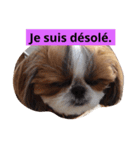 bonjour paris（個別スタンプ：6）