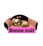 bonjour paris（個別スタンプ：7）
